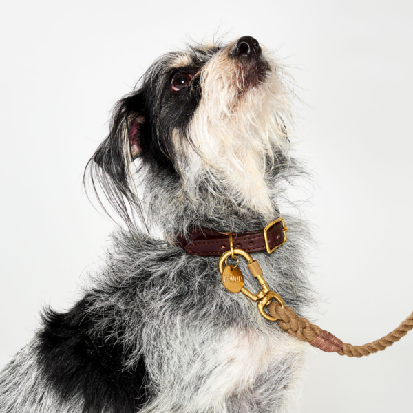 Dog Leash Heavy Duty Collar Set Harness Large Black No Pull Reflective Nylon