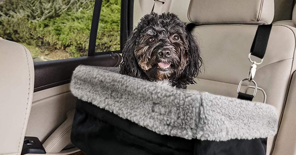 10 Best Car Seats Crates And Harnesses For Dogs 2022 The Strategist - Dog Car Seat Cover Canada