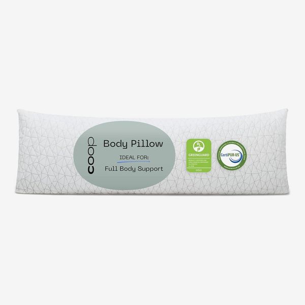 Coop Sleep Goods Memory-Foam Body Pillow