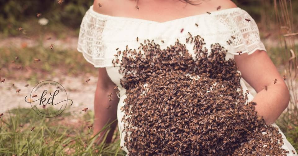 Maternity Shoot With 20,000 Bees for Emily Mueller