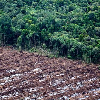 South Sumatra Governor Takes Aerial Tour Deforested Regions