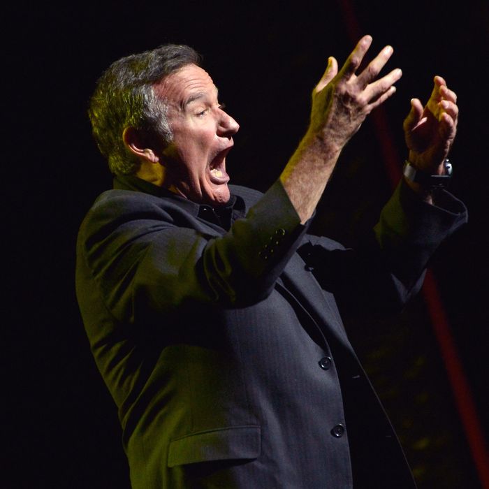 NEW YORK, NY - NOVEMBER 08: Robin Williams performs during the 6th Annual Stand Up For Heroes at the Beacon Theatre on November 8, 2012 in New York City. (Photo by Mike Coppola/Getty Images)