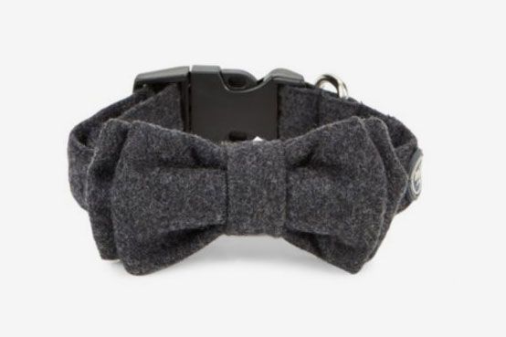 https://pyxis.nymag.com/v1/imgs/62a/a30/1193356e32f4a222e0c7b8ab153c2e8b14-bow-tie.2x.h473.w710.jpg