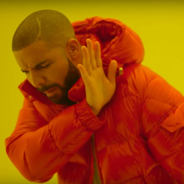 6e52acce958795508a7ecbf6a3656c0190-11-drake-hotline-bling.rsquare.w700.jpg