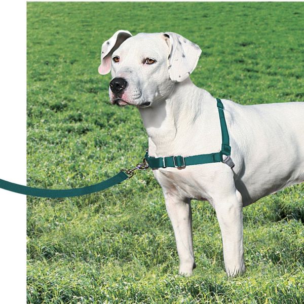 PetSafe Easy Walk No-Pull Dog Harness