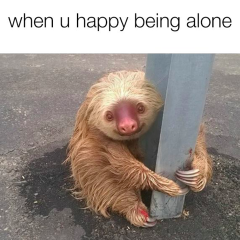 sloth excellent meme