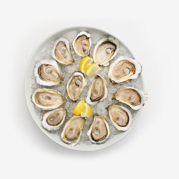 Island Creek Oysters