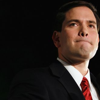 CORAL GABLES, FL - NOVEMBER 02: Republican nominee for Florida U.S. Senator Marco Rubio delivers a speech during his 