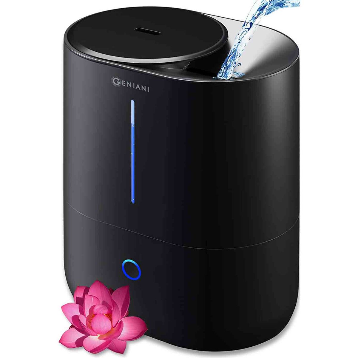 8 Best Cool Mist Humidifiers 2021 | The Strategist