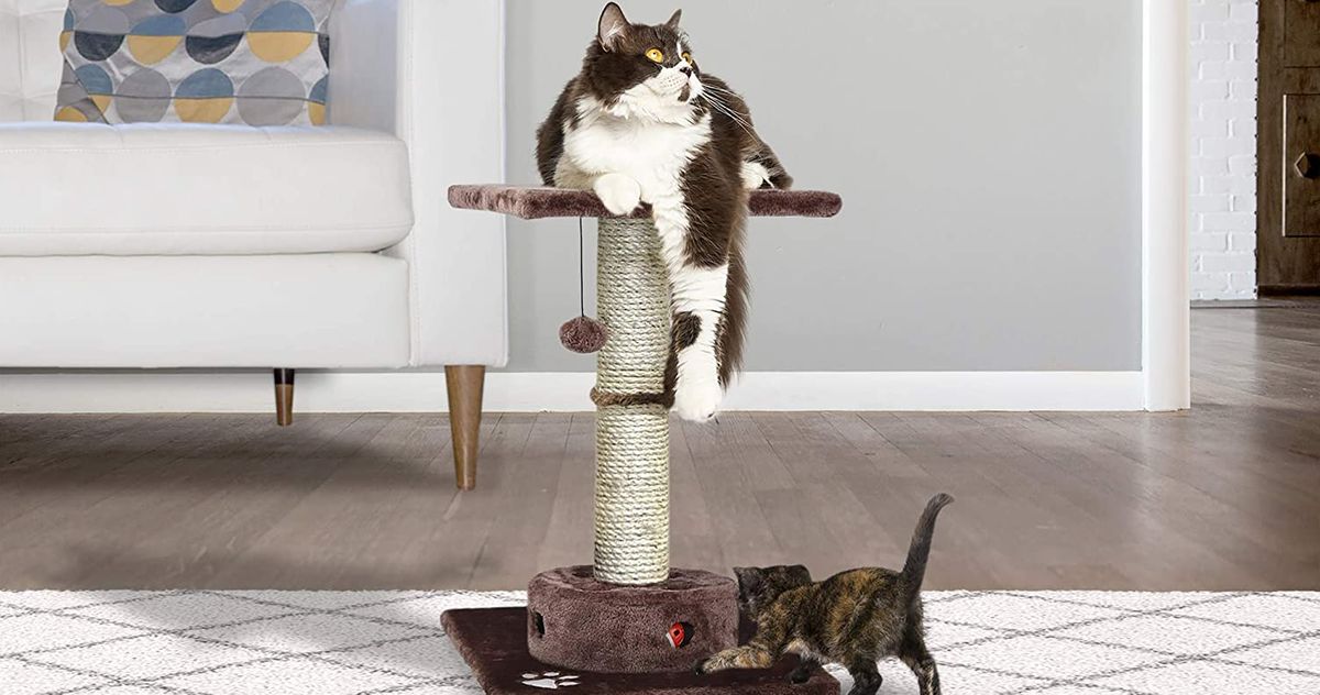 crazy sales cat tree