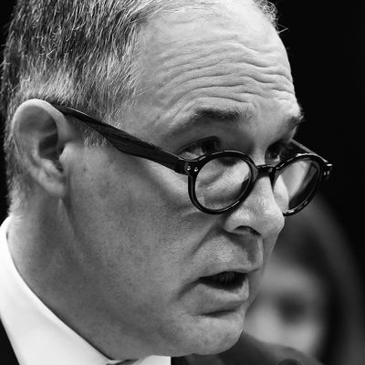 Scott Pruitt.