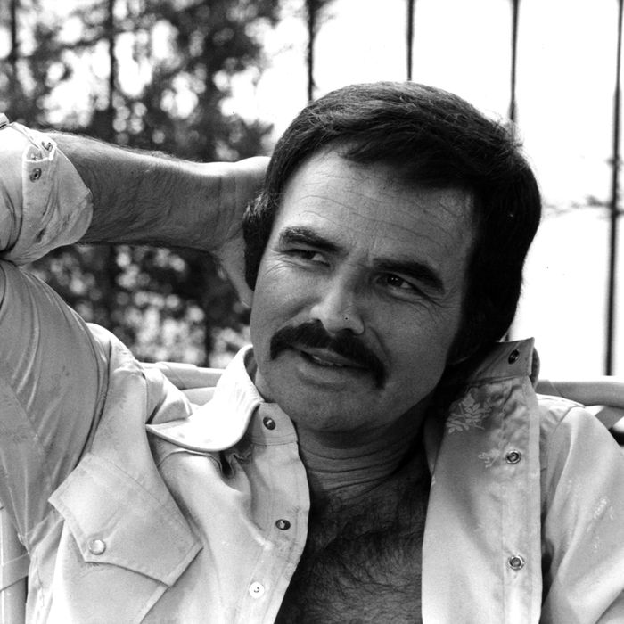 The Unstoppable Sex Appeal of 70s Burt Reynolds image