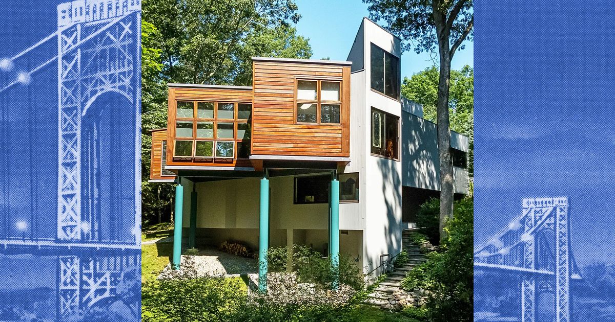 A Modernist House in Weston With a ‘Puppy Spa’