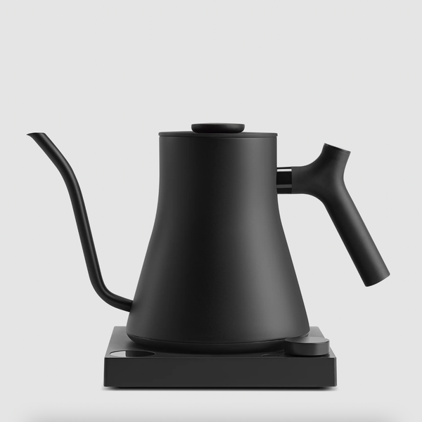 electric kettles under 600: Pocket-Friendly Brewing: Electric