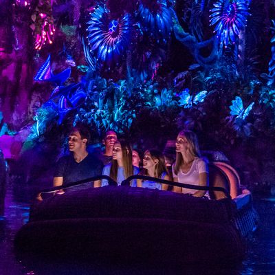 The Inside Story of Disney World's 'Avatar' Theme Park