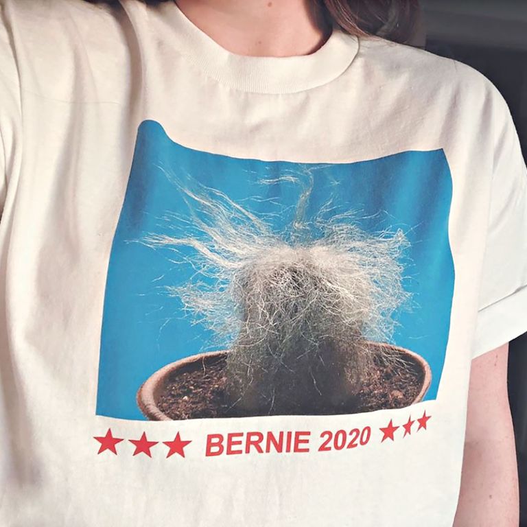 bernie sander merch