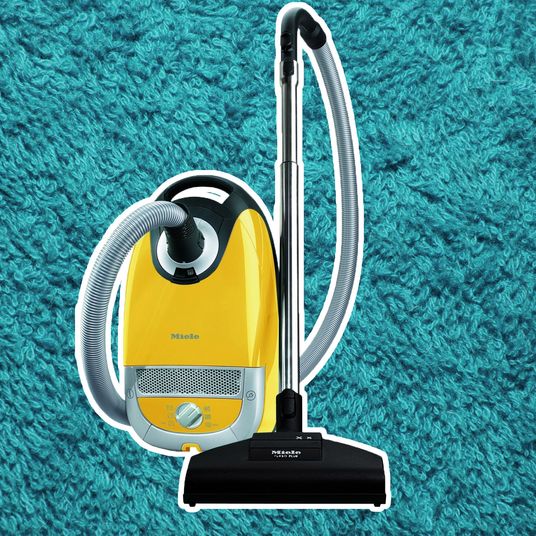 15 Best Vacuum Cleaners 2024 The Strategist