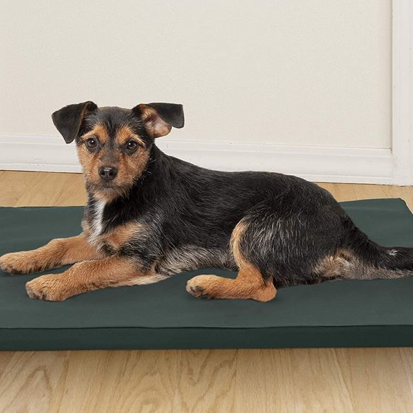 Furhaven Pet - Water-Repellent Low-Profile Dog Kennel Pad 