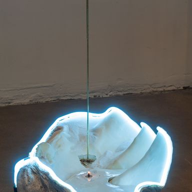venus anadyomene
