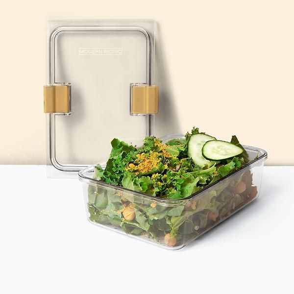 Modern Picnic Food Storage Container
