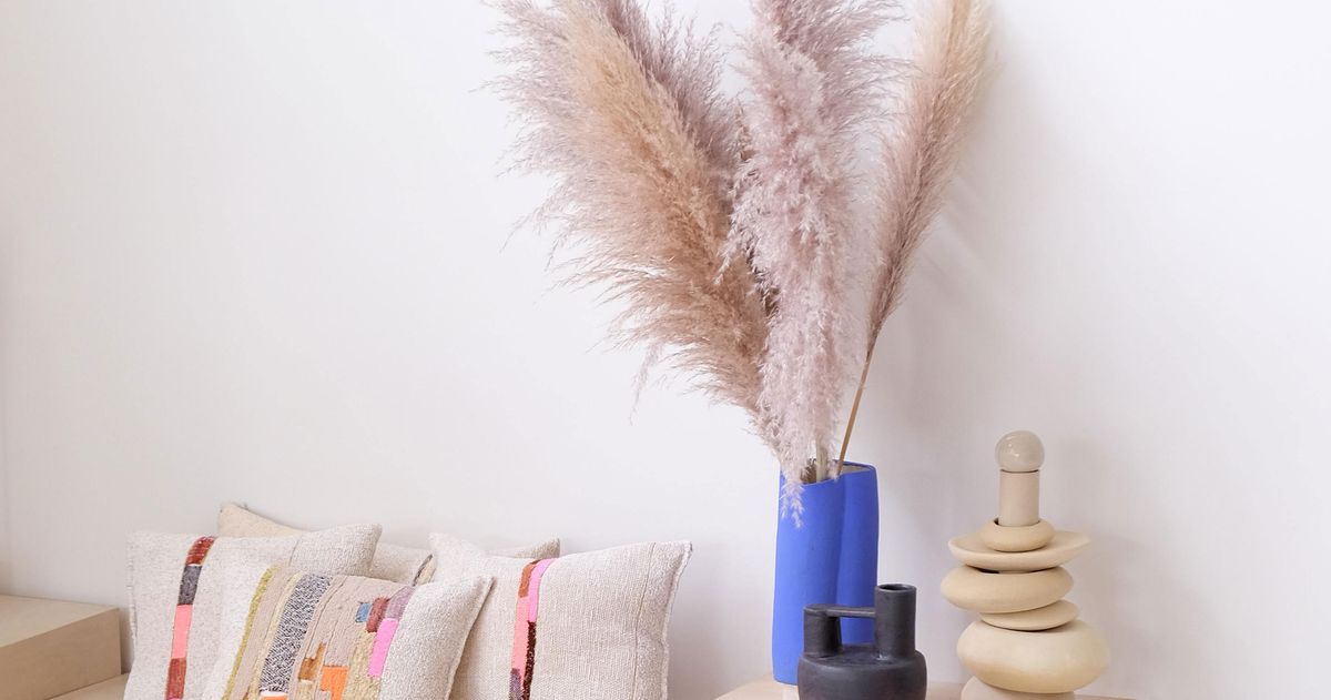 The Best Pampas Grass to Buy Online The Strategist