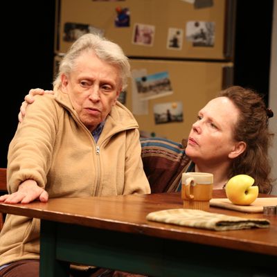 THE GABRIELS: Election Year in the Life of One FamilyPlay Three: WOMEN OF A CERTAIN AGEWritten and Directed by Richard NelsonFeaturing Meg Gibson, Lynn Hawley, Roberta Maxwell, Maryann Plunkett, Jay O. Sanders, Amy WarrenScenic Designers Susan Hilfe