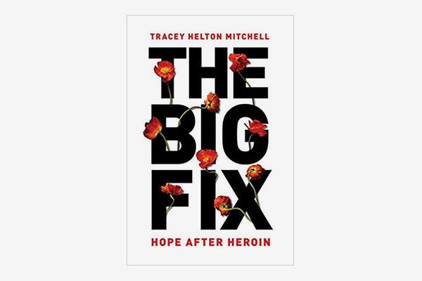 The Big Fix: Hope After Heroin