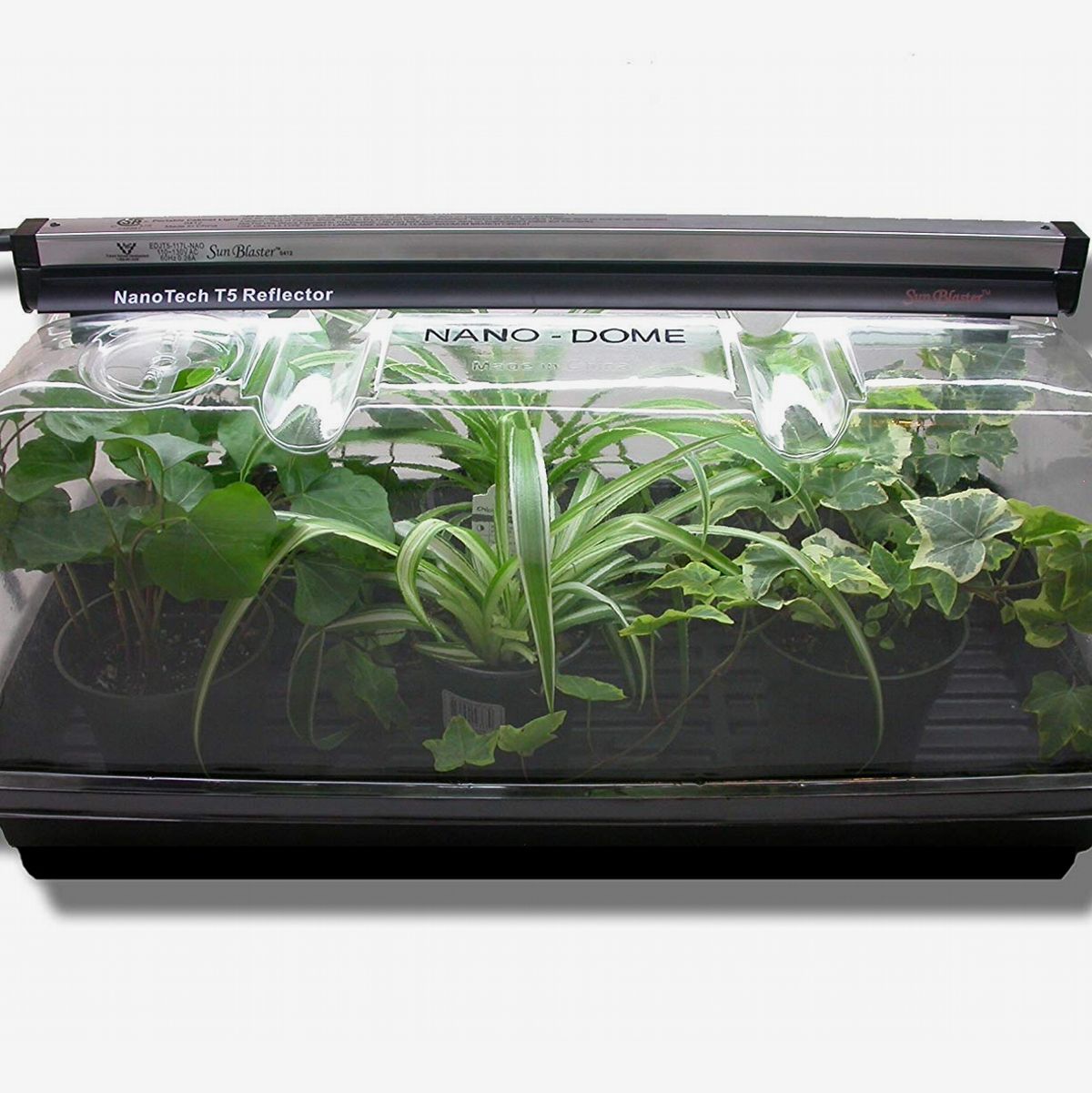 15 Best Indoor Garden Kits 21 The Strategist New York Magazine