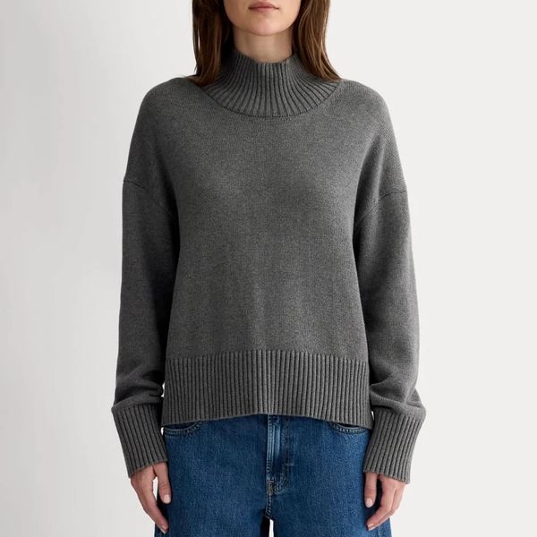 Everlane Boxy Turtleneck in Everyday Cotton