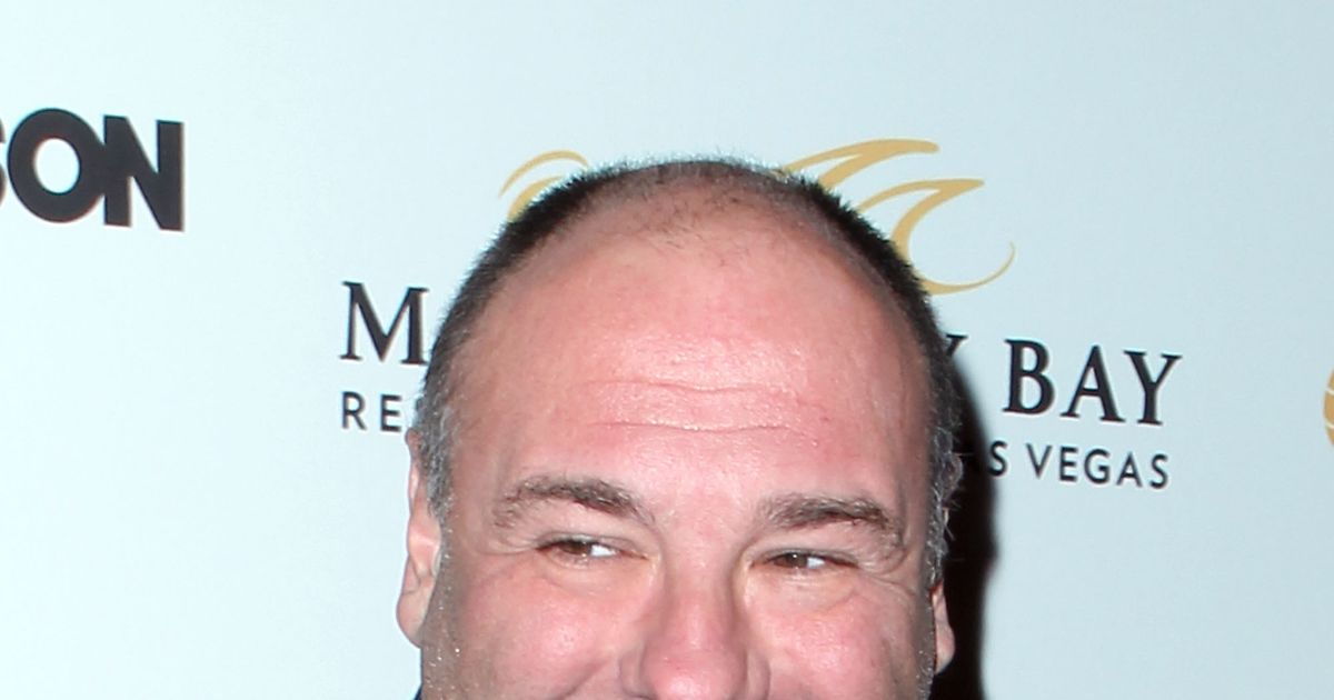 James Gandolfini Autopsy Confirms Heart Attack
