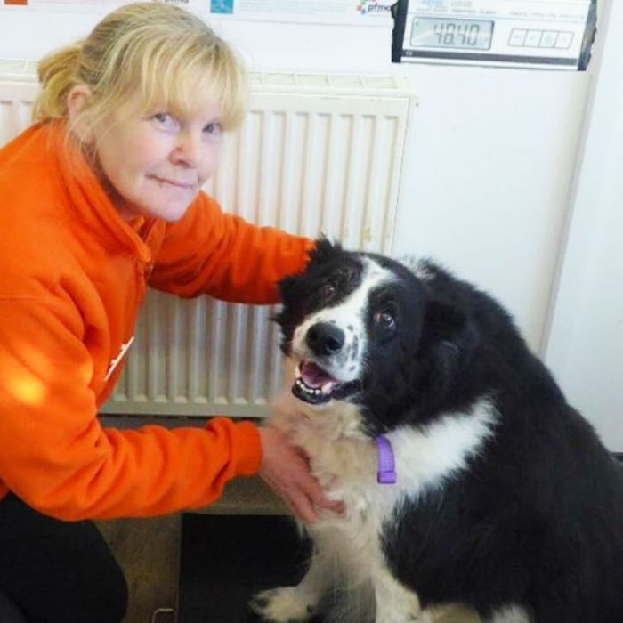 Britain S Fattest Dog Named Bopper The Whopper