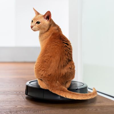 Irobot cat shop