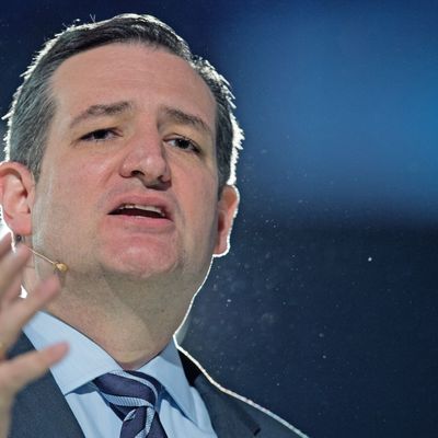 US Senator Ted Cruz(R-TX) delivers remarks announcing his candidacy for the Republican nomination to run for US president March 23, 2015, at Liberty University in Lynchburg, Virginia. AFP PHOTO/PAUL J. RICHARDS (Photo credit should read PAUL J. RICHARDS/AFP/Getty Images)