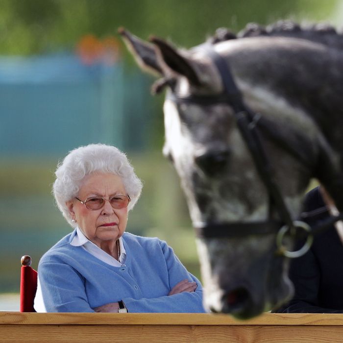 Queen Elizabeth at the Royal Windsor Horse Show.