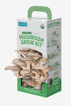 Back to the Roots Organic Mushroom Growing Kit