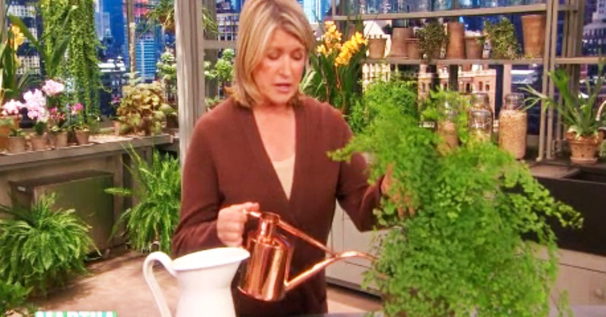 Haws Watering Can Status Object 2018 | The Strategist
