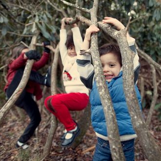 Kids climbing on trees, vines