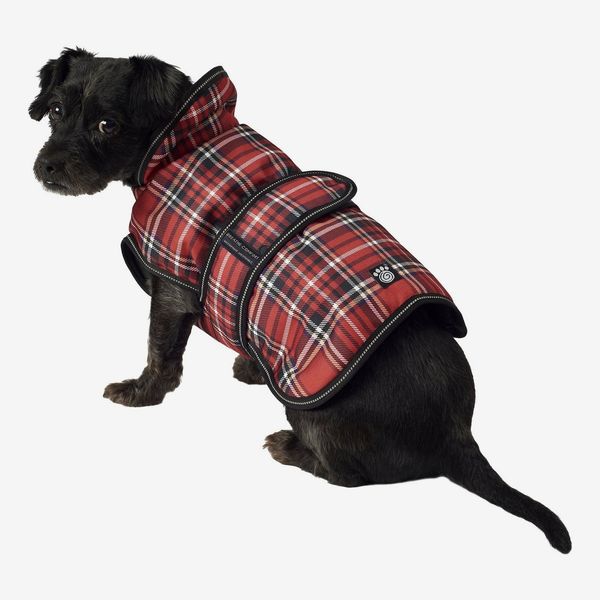 PetRageous Designs Kodiak abrigo aislado para perros