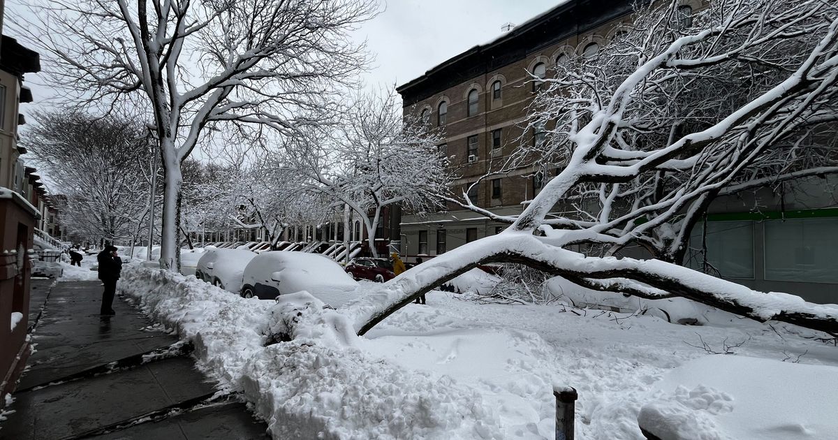 Now the Trees Are Falling Down