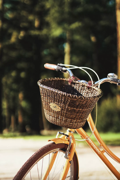 Nantucket Bike Basket Co. Lightship Oval Basket