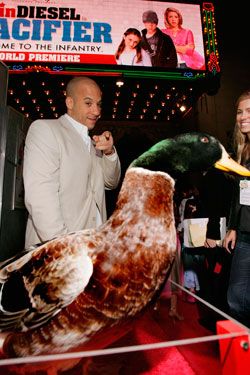 Or is that a mallard? Does anyone have Vin Diesel's phone number? Maybe he would know.