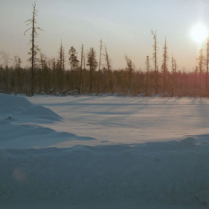 Saglana Salchak In Siberia Walked Miles To Help Sick Grandma