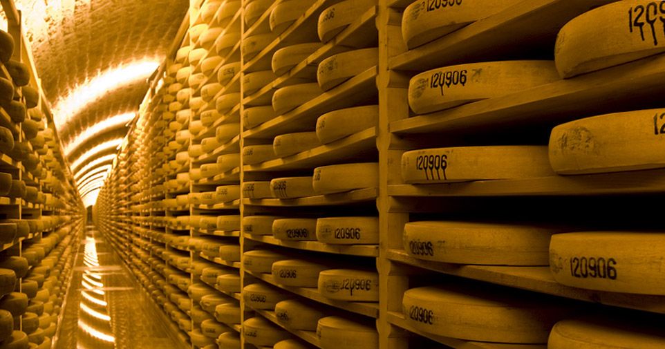 7 Reasons You Should Be Troubled by the FDA’s CheeseAging Regulations