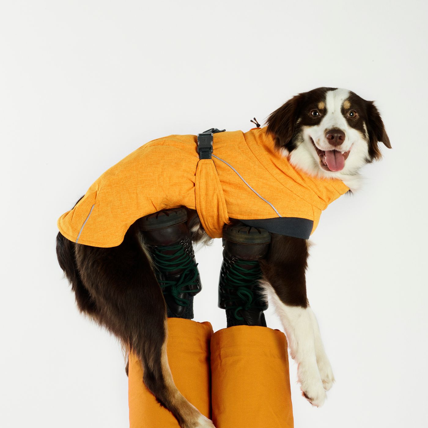 The skinny jeans that have become a hit with dog walkers, horse