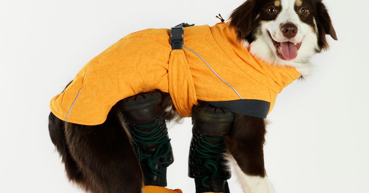 VELCRO® Brand Hook / Sew-On – Dog Booties