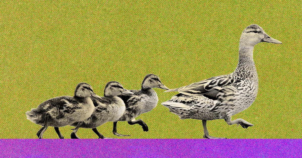 Should I Have a Baby When There’s a Climate Change Crisis?