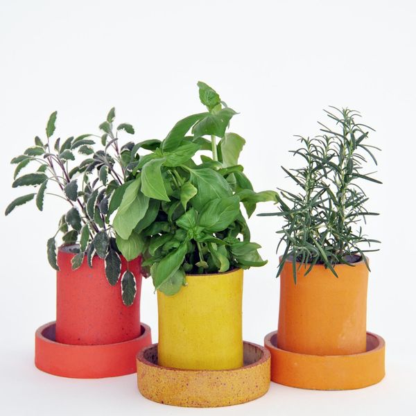 Herb Pots by Tracy Wilkinson