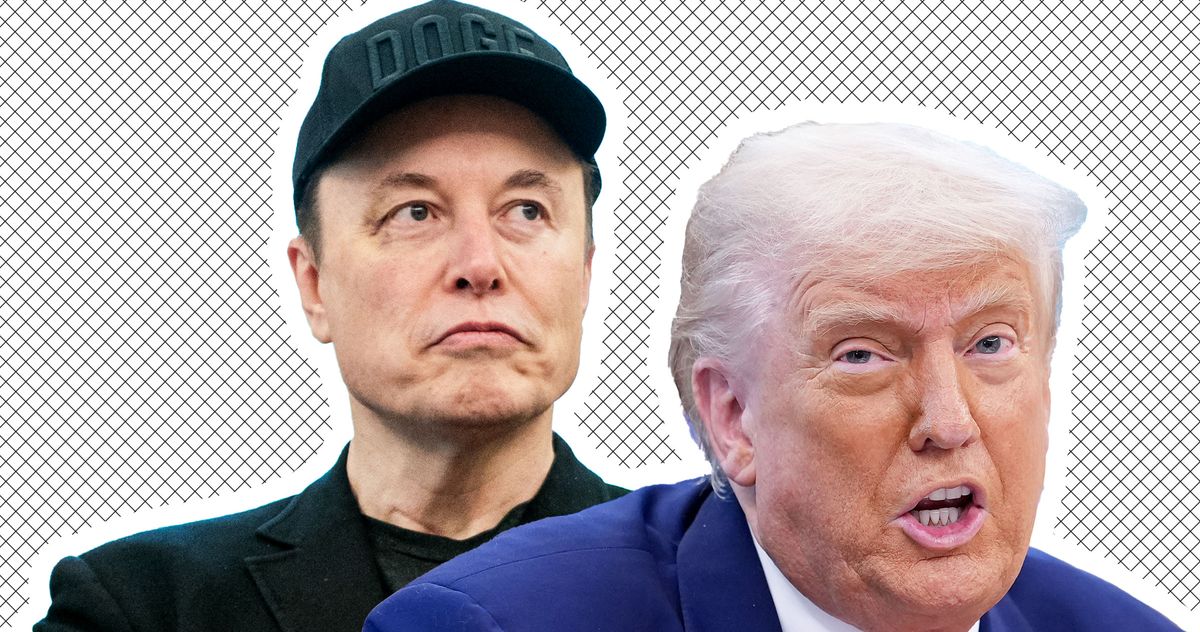 Donald Trump and Elon Musk Are Finally Fighting