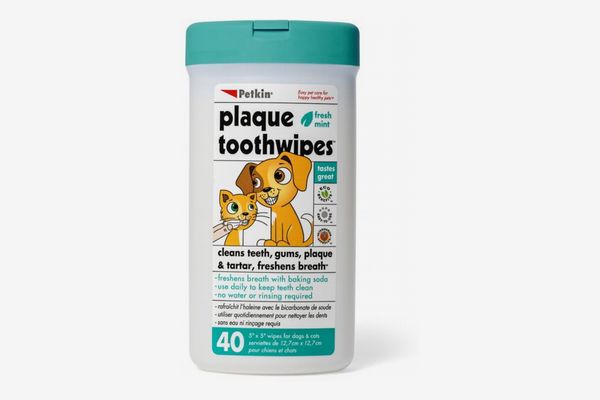 dog teeth cleaning powder