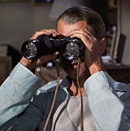 The Best Binoculars You Can Buy Online, According To A Birding Expert